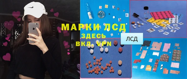 индика Дмитровск
