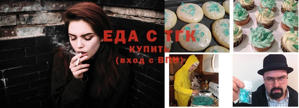 индика Дмитровск