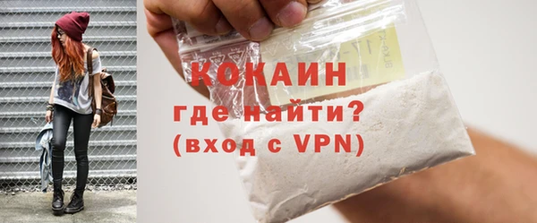 индика Дмитровск