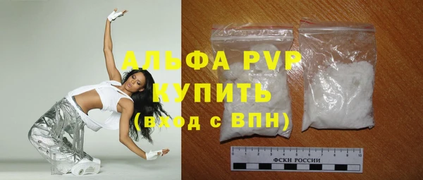 индика Дмитровск
