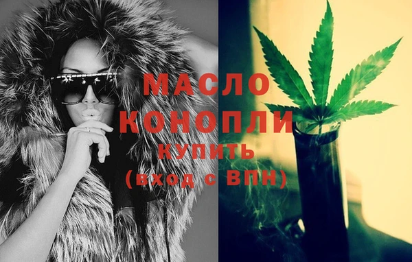 индика Дмитровск