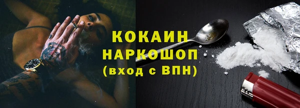 индика Дмитровск