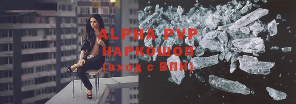 индика Дмитровск