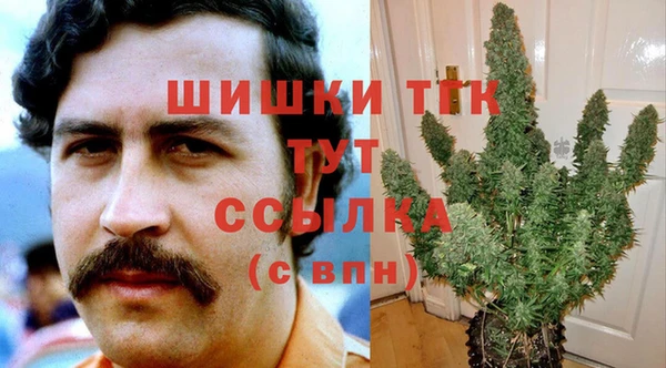 индика Дмитровск