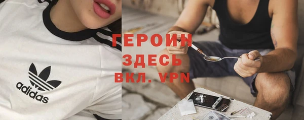 индика Дмитровск