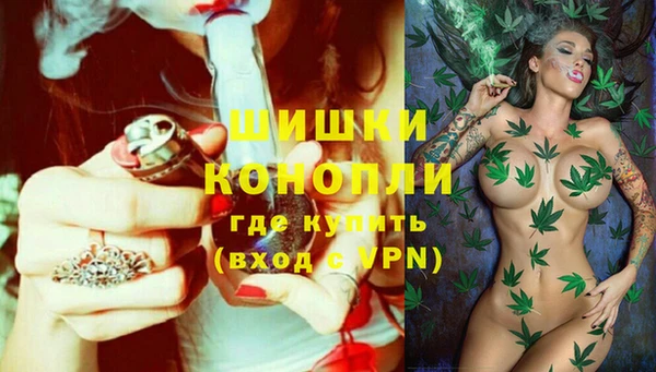 дурь Дмитриев