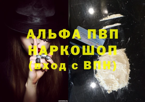индика Дмитровск
