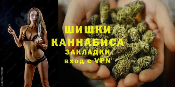 индика Дмитровск