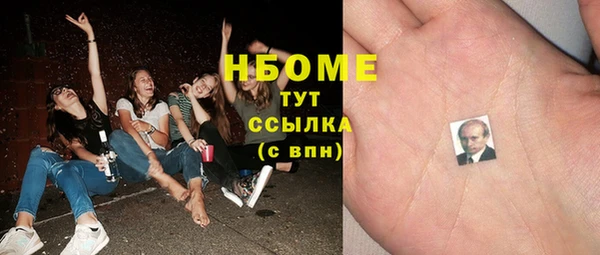 индика Дмитровск