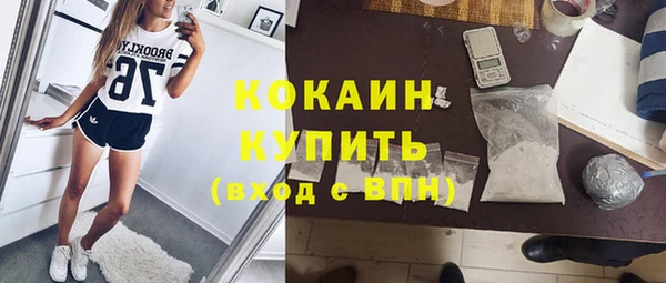 индика Дмитровск