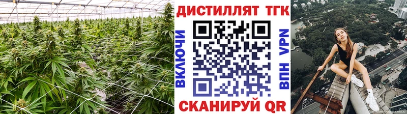 Дистиллят ТГК гашишное масло  Рудня 