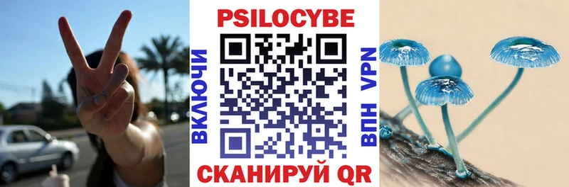 Галлюциногенные грибы Psilocybe  Рудня 