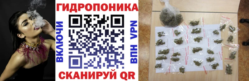 Бошки Шишки семена Рудня